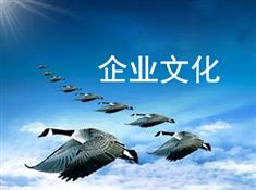 压瓦机-彩钢设备